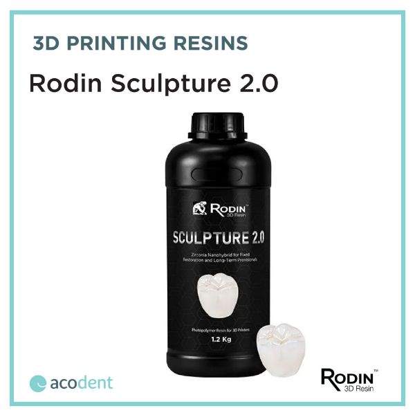 Picture of Rodin Sculpture 2.0 - SG